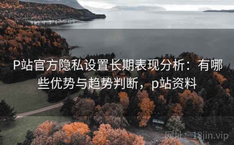 P站官方隐私设置长期表现分析：有哪些优势与趋势判断，p站资料