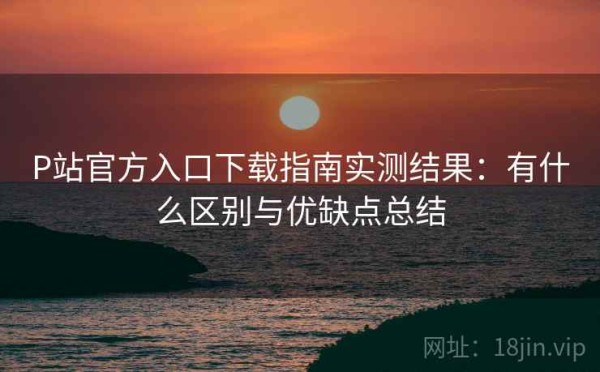 P站官方入口下载指南实测结果：有什么区别与优缺点总结