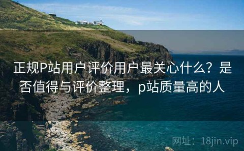 正规P站用户评价用户最关心什么？是否值得与评价整理，p站质量高的人