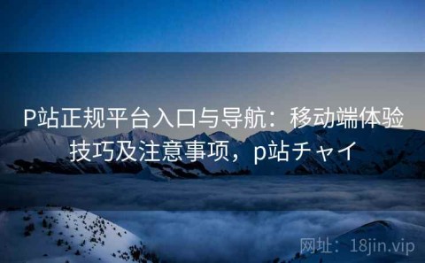P站正规平台入口与导航：移动端体验技巧及注意事项，p站チャイ