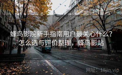 蜂鸟影院新手指南用户最关心什么？怎么选与评价整理，蜂鸟影站