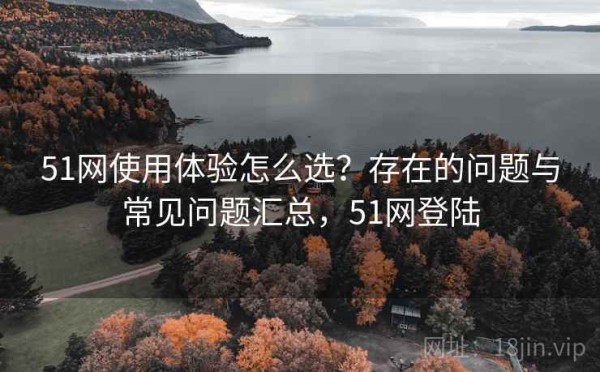 51网使用体验怎么选？存在的问题与常见问题汇总，51网登陆