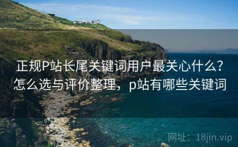 正规P站长尾关键词用户最关心什么？怎么选与评价整理，p站有哪些关键词
