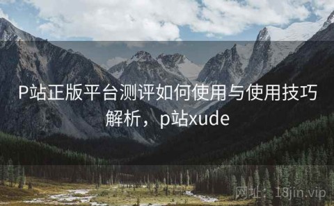P站正版平台测评如何使用与使用技巧解析，p站xude