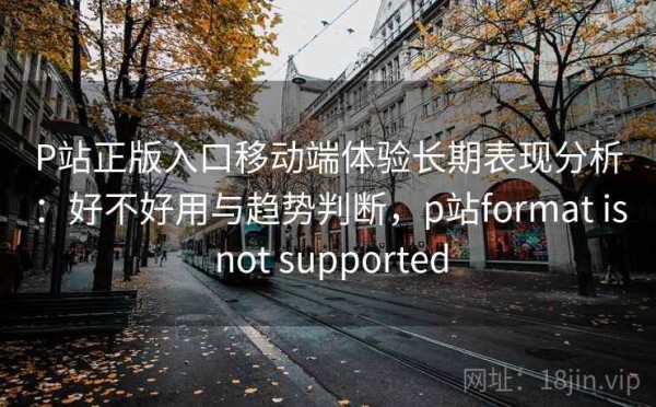 P站正版入口移动端体验长期表现分析：好不好用与趋势判断，p站format is not supported
