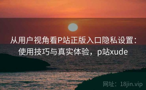 从用户视角看P站正版入口隐私设置：使用技巧与真实体验，p站xude