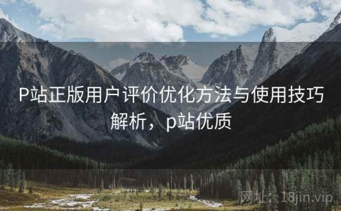 P站正版用户评价优化方法与使用技巧解析，p站优质