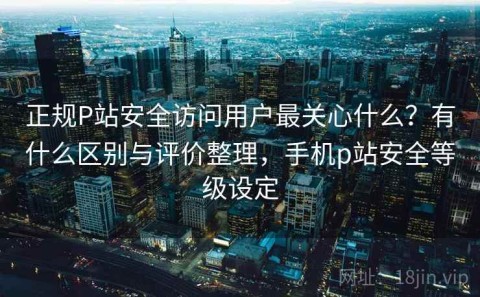 正规P站安全访问用户最关心什么？有什么区别与评价整理，手机p站安全等级设定