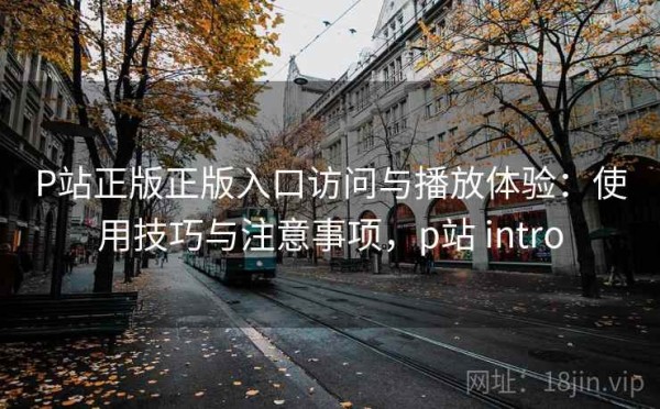 P站正版正版入口访问与播放体验：使用技巧与注意事项，p站 intro
