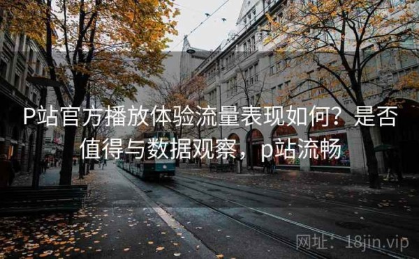 P站官方播放体验流量表现如何？是否值得与数据观察，p站流畅