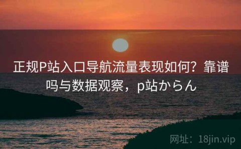 正规P站入口导航流量表现如何？靠谱吗与数据观察，p站からん