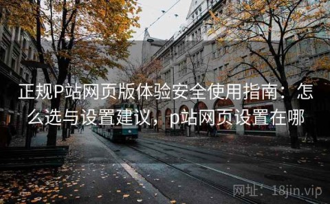 正规P站网页版体验安全使用指南：怎么选与设置建议，p站网页设置在哪
