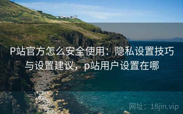 P站官方怎么安全使用：隐私设置技巧与设置建议，p站用户设置在哪