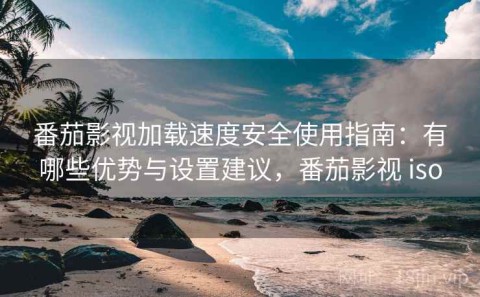番茄影视加载速度安全使用指南：有哪些优势与设置建议，番茄影视 iso