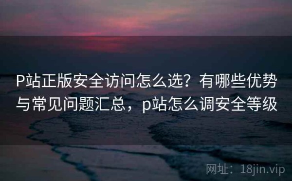 P站正版安全访问怎么选？有哪些优势与常见问题汇总，p站怎么调安全等级
