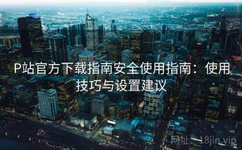 P站官方下载指南安全使用指南：使用技巧与设置建议