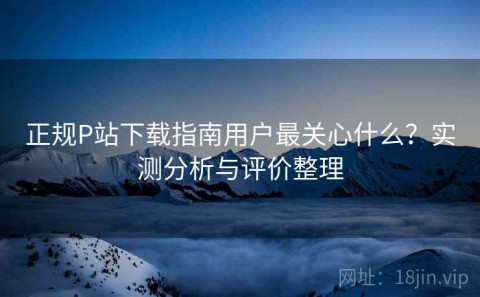 正规P站下载指南用户最关心什么？实测分析与评价整理