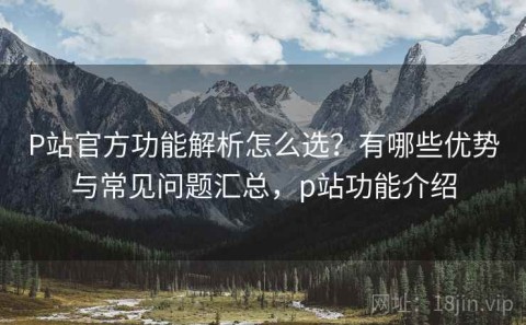 P站官方功能解析怎么选？有哪些优势与常见问题汇总，p站功能介绍