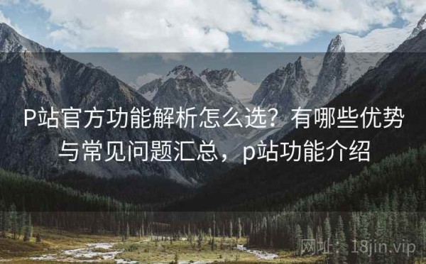 P站官方功能解析怎么选？有哪些优势与常见问题汇总，p站功能介绍