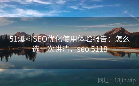 51爆料SEO优化使用体验报告：怎么选一次讲清，seo 5118