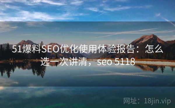 51爆料SEO优化使用体验报告：怎么选一次讲清，seo 5118