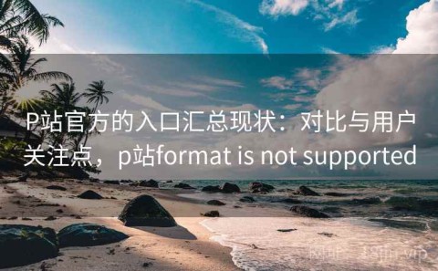P站官方的入口汇总现状：对比与用户关注点，p站format is not supported