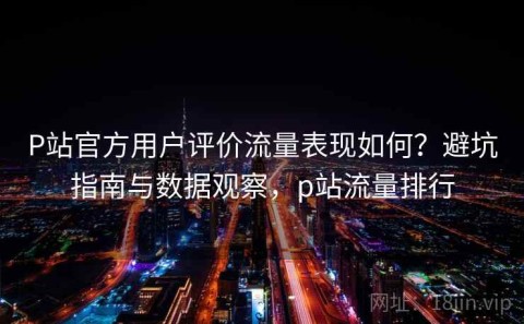 P站官方用户评价流量表现如何？避坑指南与数据观察，p站流量排行