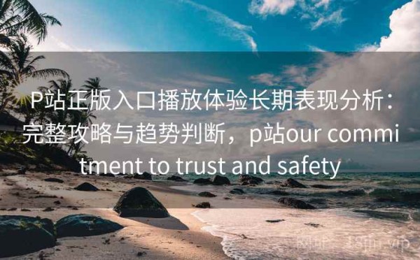 P站正版入口播放体验长期表现分析：完整攻略与趋势判断，p站our commitment to trust and safety