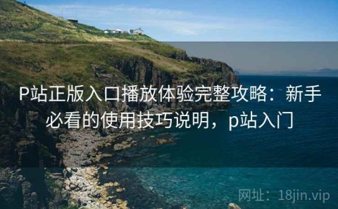 P站正版入口播放体验完整攻略：新手必看的使用技巧说明，p站入门