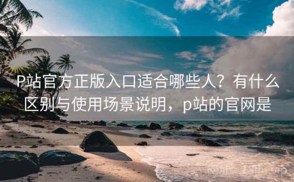 P站官方正版入口适合哪些人？有什么区别与使用场景说明，p站的官网是