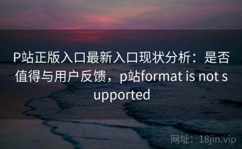 P站正版入口最新入口现状分析：是否值得与用户反馈，p站format is not supported