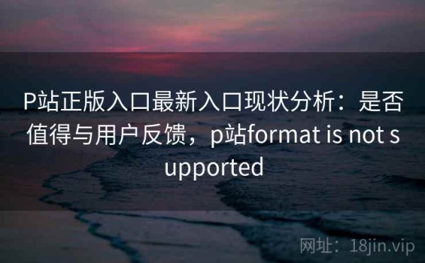 P站正版入口最新入口现状分析：是否值得与用户反馈，p站format is not supported