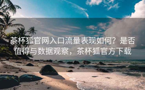 茶杯狐官网入口流量表现如何？是否值得与数据观察，茶杯狐官方下载