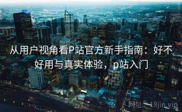 从用户视角看P站官方新手指南：好不好用与真实体验，p站入门