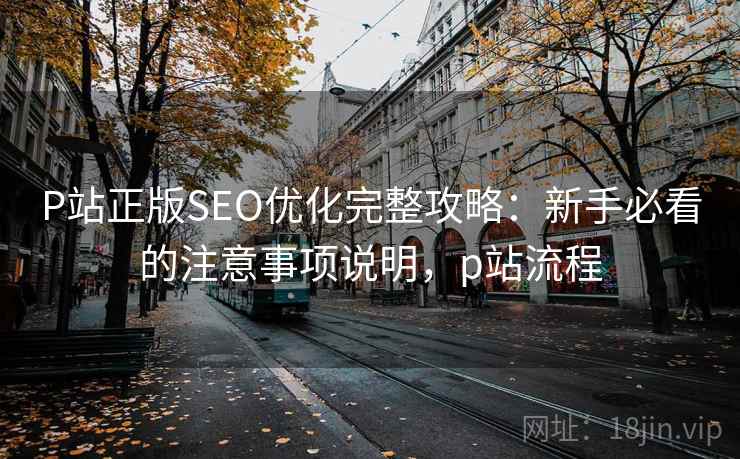 P站正版SEO优化完整攻略：新手必看的注意事项说明，p站流程
