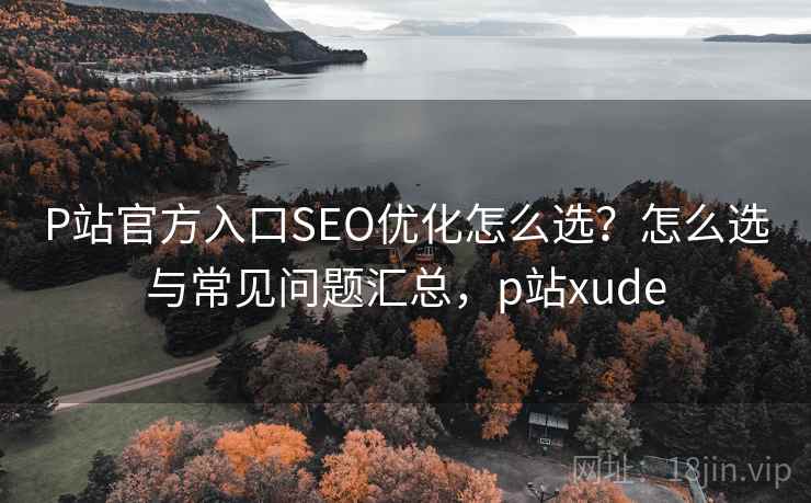 P站官方入口SEO优化怎么选？怎么选与常见问题汇总，p站xude