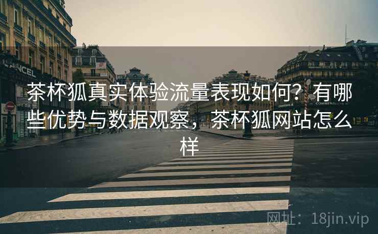 茶杯狐真实体验流量表现如何？有哪些优势与数据观察，茶杯狐网站怎么样