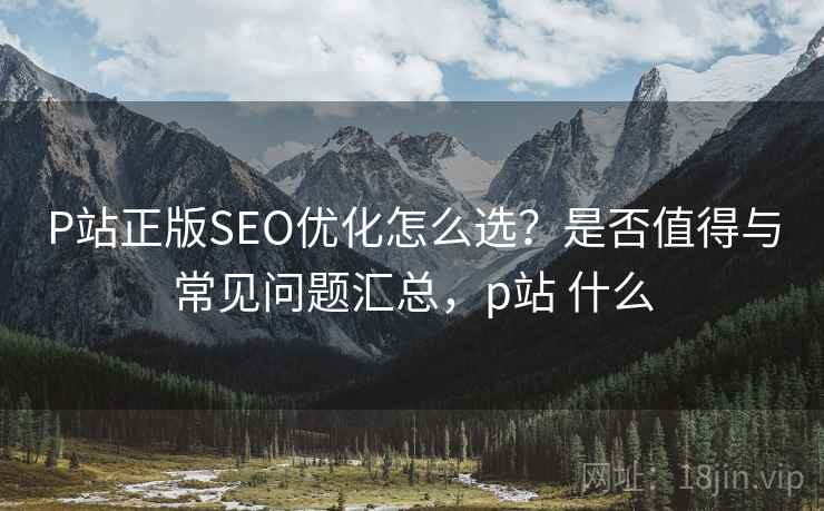 P站正版SEO优化怎么选？是否值得与常见问题汇总，p站 什么