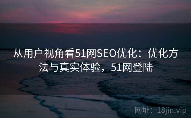 从用户视角看51网SEO优化：优化方法与真实体验，51网登陆