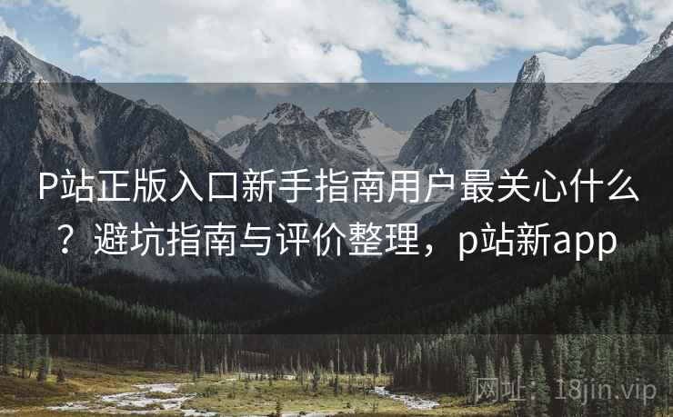 P站正版入口新手指南用户最关心什么?避坑指南与评价整理,p站新app P站正版入口新手指南用户最关心什么?避坑指南与评价整理,p站新app