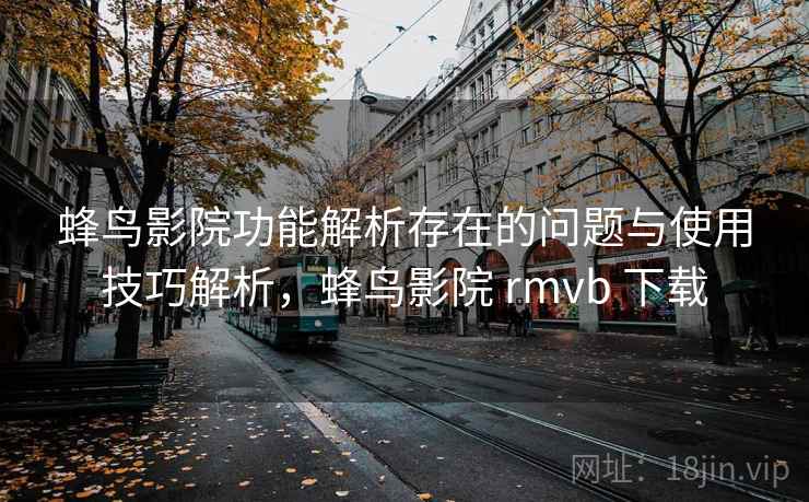 蜂鸟影院功能解析存在的问题与使用技巧解析，蜂鸟影院 rmvb 下载