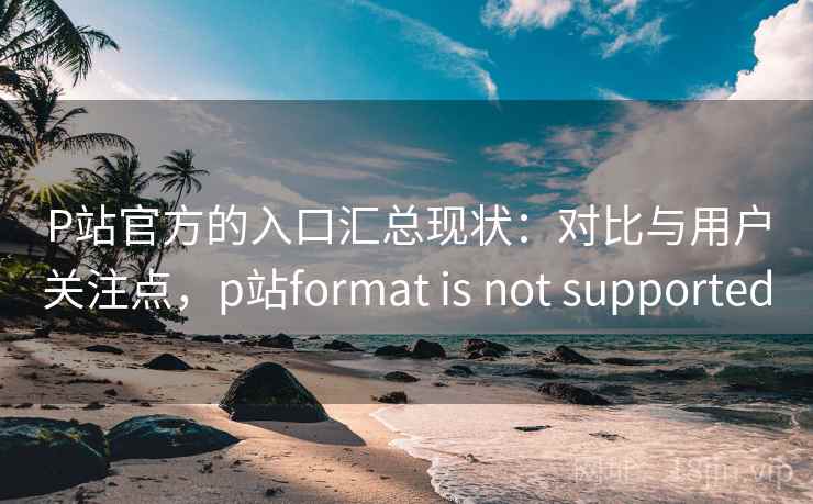P站官方的入口汇总现状：对比与用户关注点，p站format is not supported