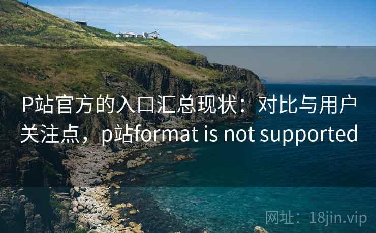 P站官方的入口汇总现状：对比与用户关注点，p站format is not supported