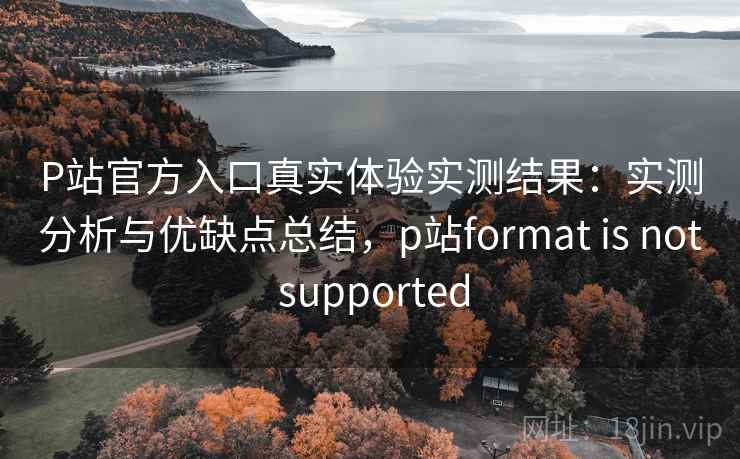 P站官方入口真实体验实测结果:实测分析与优缺点总结,p站format is not supported P站官方入口真实体验实测结果:实测分析与优缺点总结,p站format is not supported