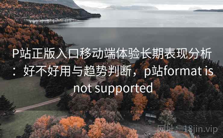 P站正版入口移动端体验长期表现分析:好不好用与趋势判断,p站format is not supported P站正版入口移动端体验长期表现分析:好不好用与趋势判断,p站format is not supported