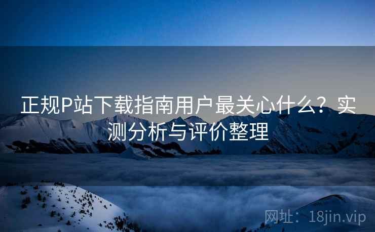 正规P站下载指南用户最关心什么?实测分析与评价整理 正规P站下载指南用户最关心什么?实测分析与评价整理