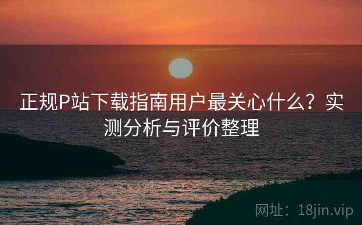 正规P站下载指南用户最关心什么?实测分析与评价整理 正规P站下载指南用户最关心什么?实测分析与评价整理