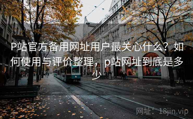 P站官方备用网址用户最关心什么?如何使用与评价整理,p站网址到底是多少 P站官方备用网址用户最关心什么?如何使用与评价整理,p站网址到底是多少