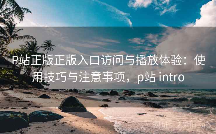 P站正版正版入口访问与播放体验：使用技巧与注意事项，p站 intro