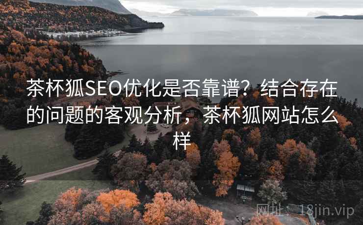 茶杯狐SEO优化是否靠谱？结合存在的问题的客观分析，茶杯狐网站怎么样